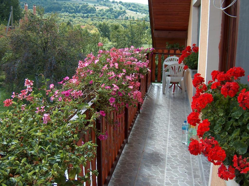 Apartments Ana Smoljanac Ruang foto